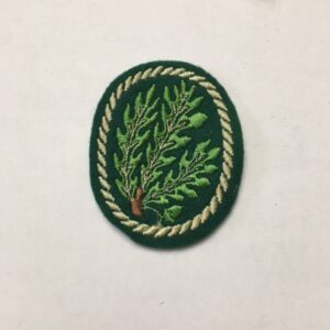 Cloth Insignia & Patches